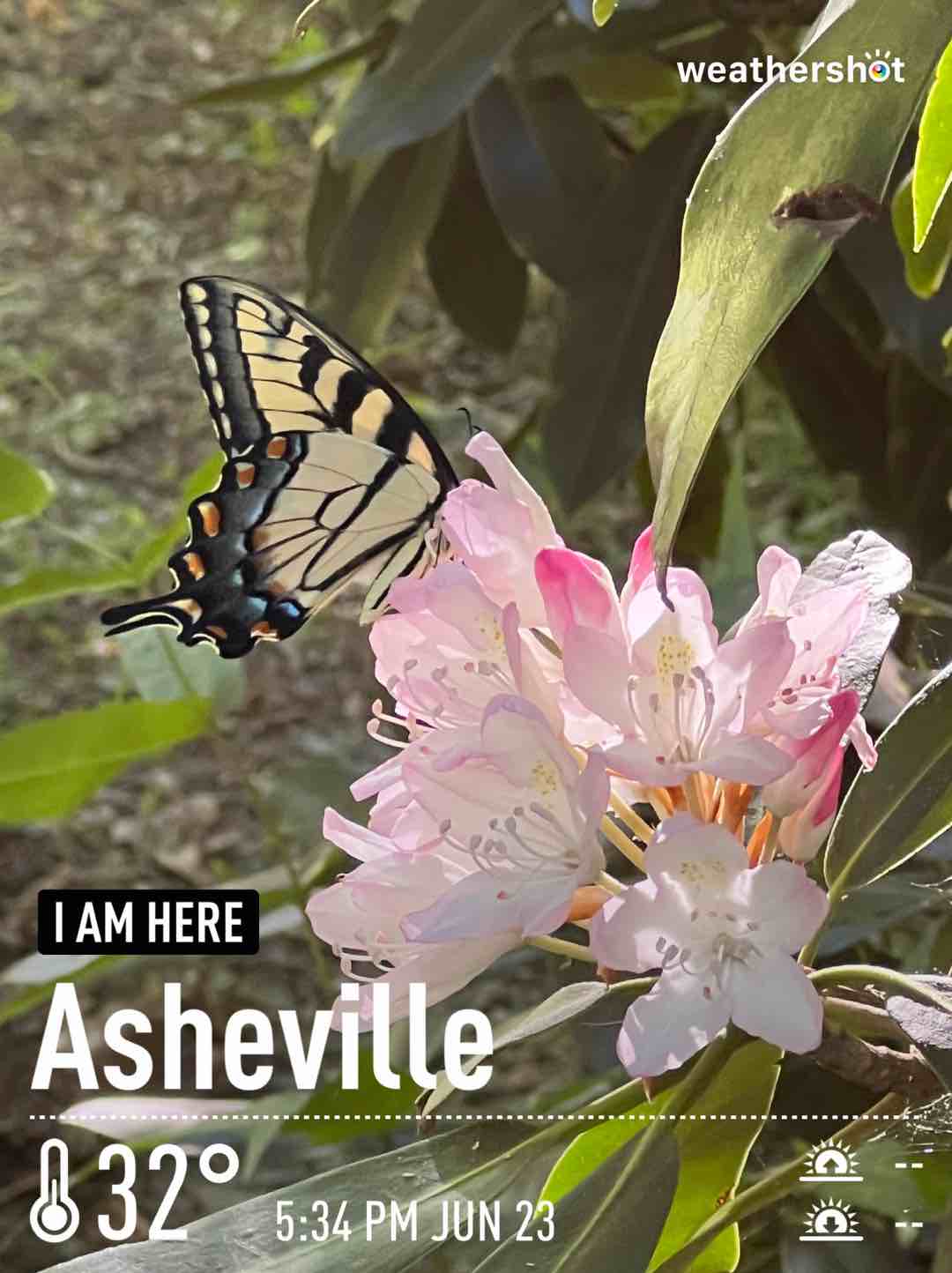 Weather in Asheville, 32°F — June 23, 2022 (community photo)