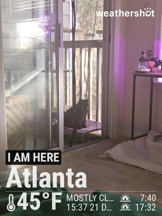 Clear night weather in Atlanta, 70°F — December 21, 2024 (community photo)
