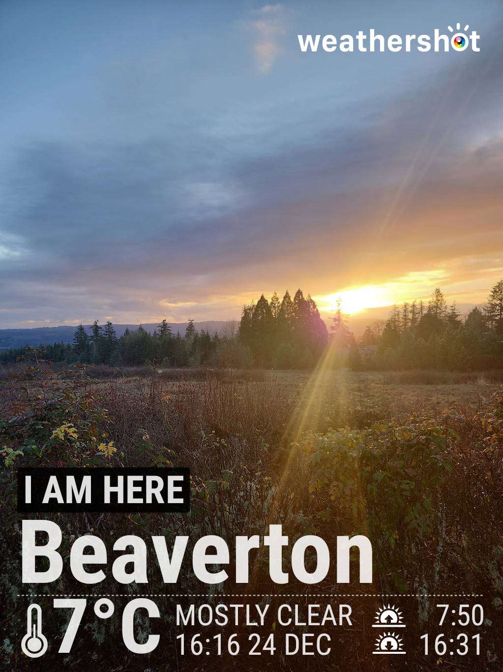 Clear weather in Beaverton, 45°F — December 24, 2024 (community photo)