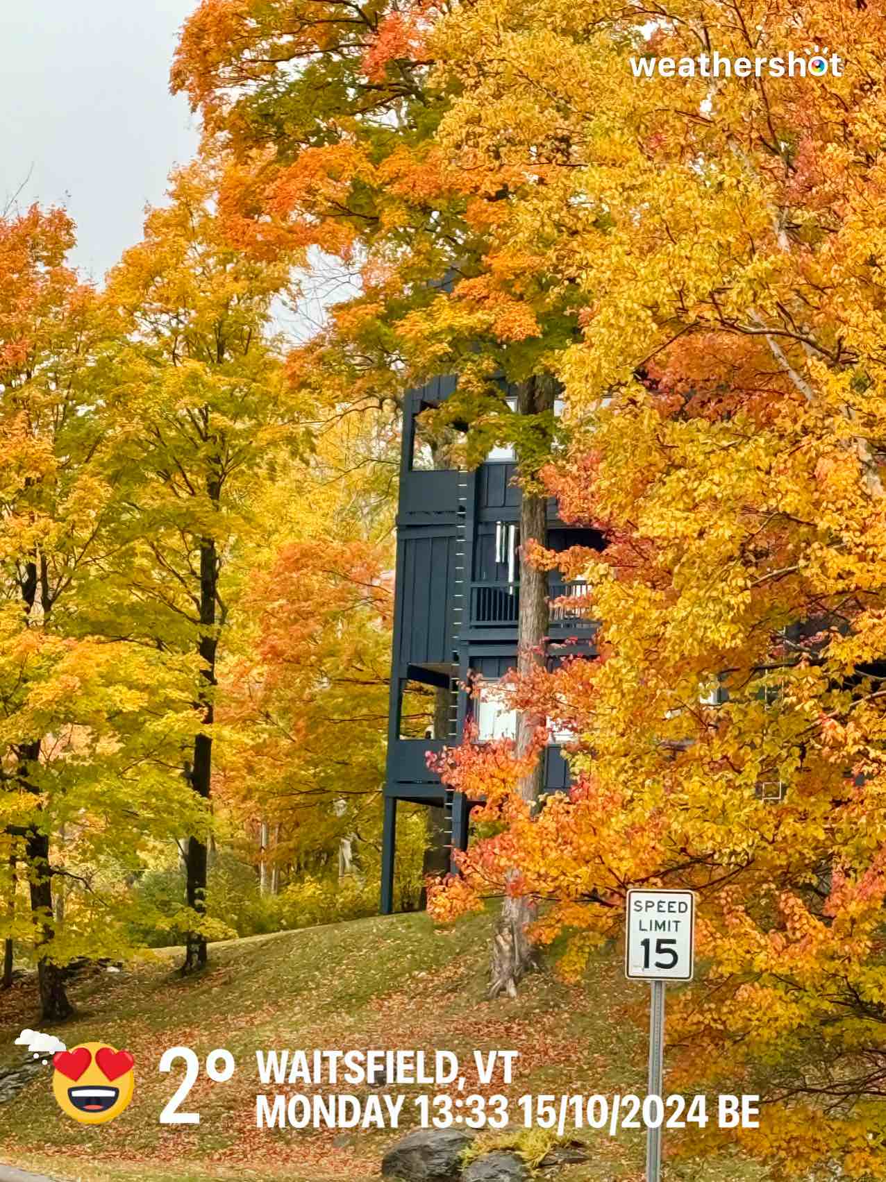 Snowy weather in Warren, 36°F — October 15, 2024 (community photo)