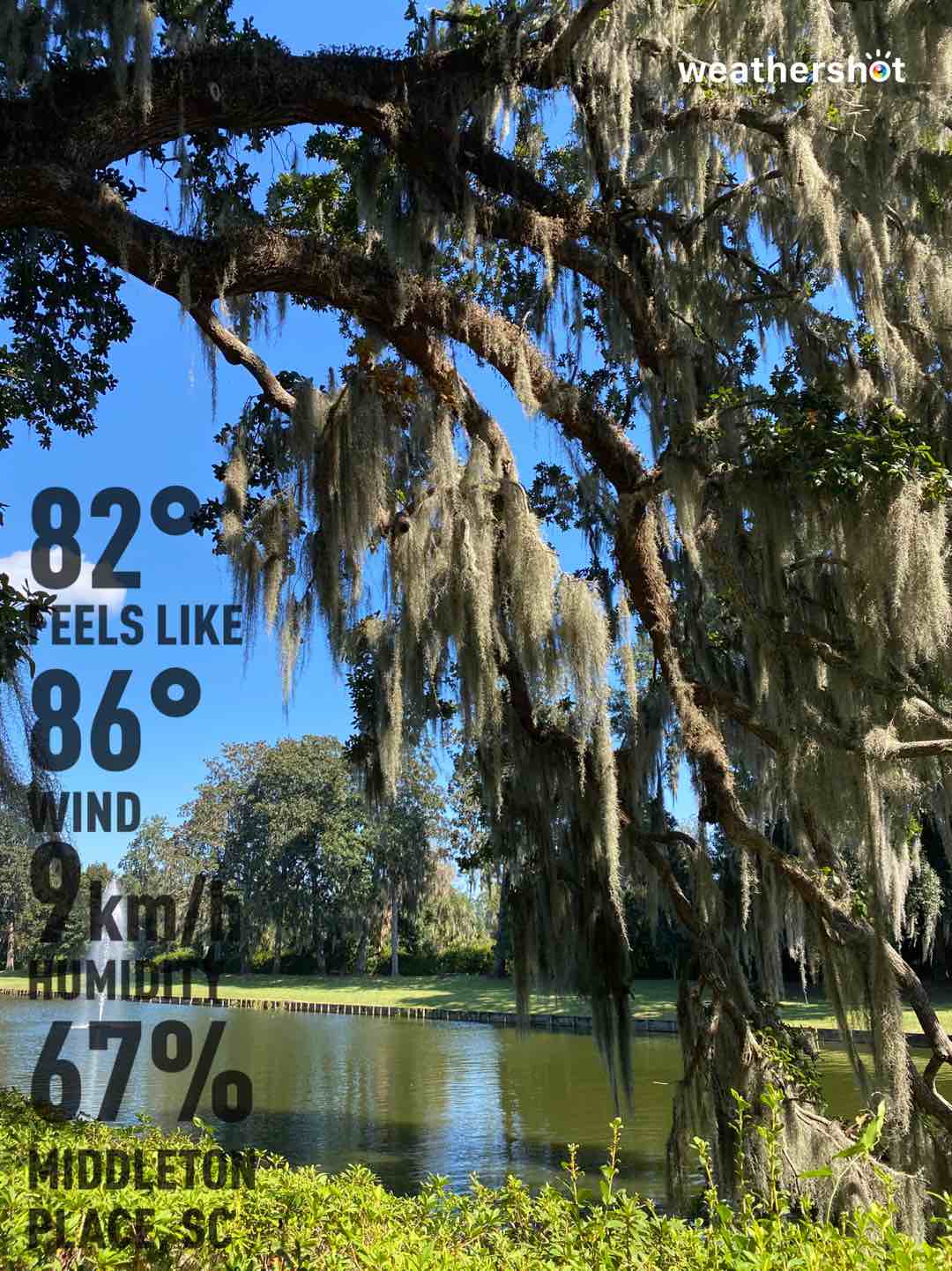 Weather in Charleston, 82°F — October 16, 2021 (community photo)