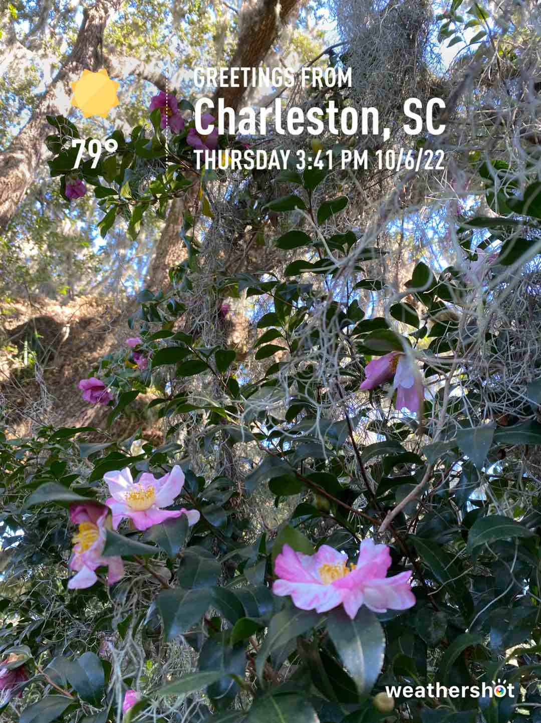 Clear weather in Charleston, 79°F — October 6, 2022 (community photo)