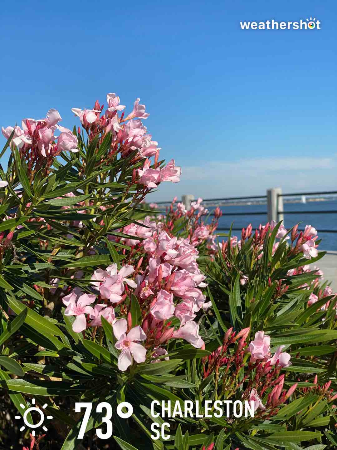 Clear weather in Charleston, 73°F — October 23, 2022 (community photo)