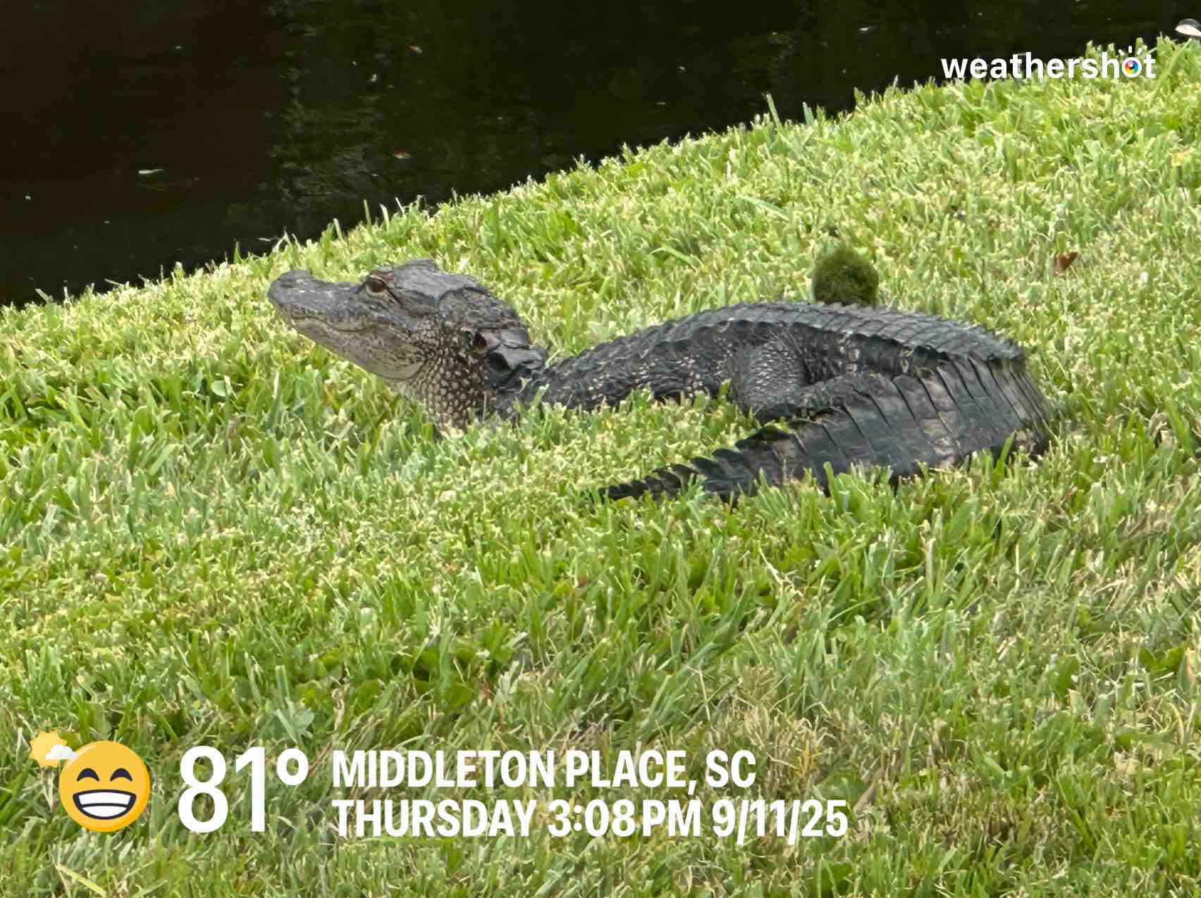 Partly cloudy weather in Charleston, 81°F — September 11, 2025 (community photo)