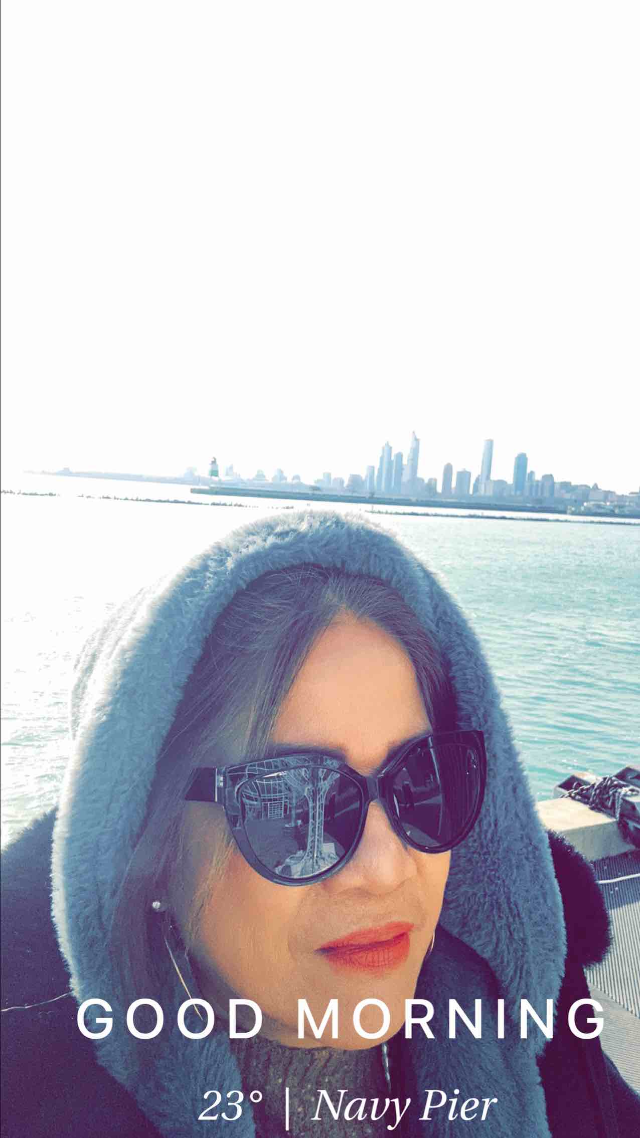 Weather in Chicago, 23°F — November 30, 2024 (community photo)