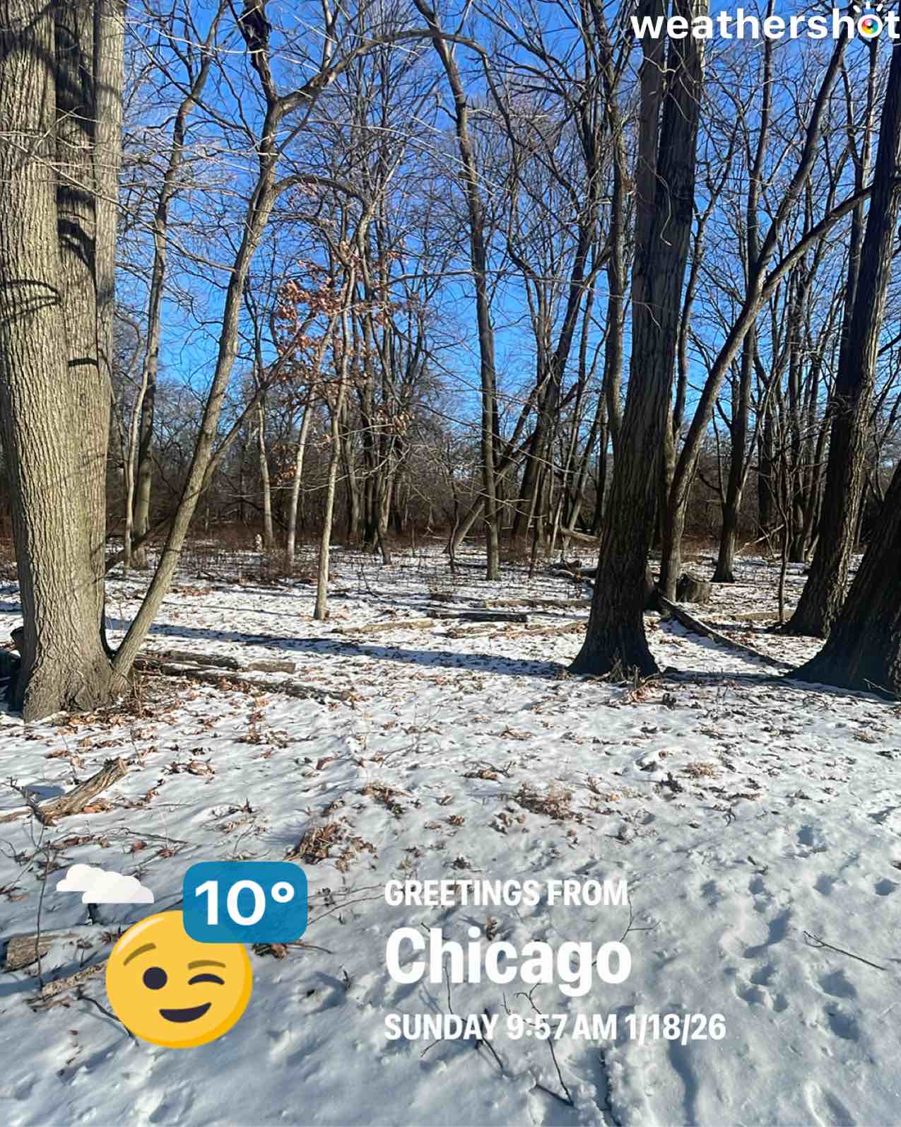 Cloudy weather in Chicago, 10°F — January 18, 2026 (community photo)
