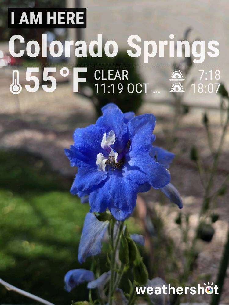 Clear night weather in Colorado Springs, 34°F — October 26, 2024 (community photo)