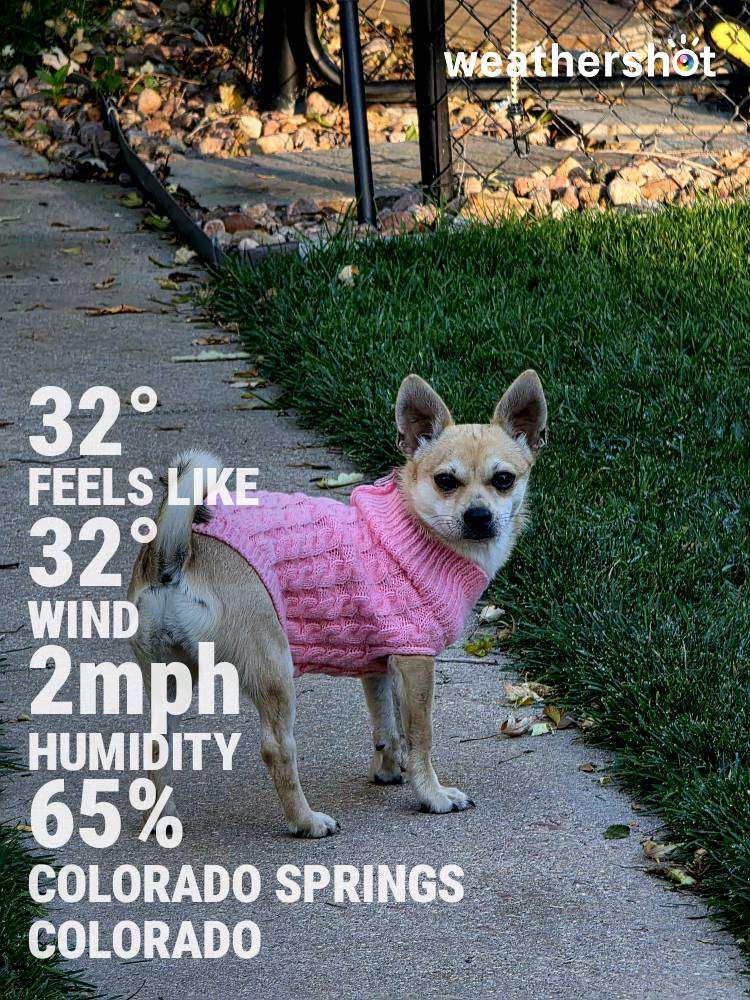 Weather in Colorado Springs — October 19, 2025 (community photo)