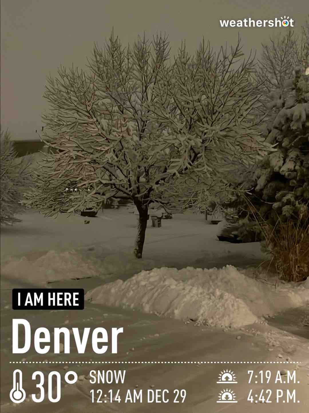 Snowy weather in Denver, 30°F — December 29, 2022 (community photo)