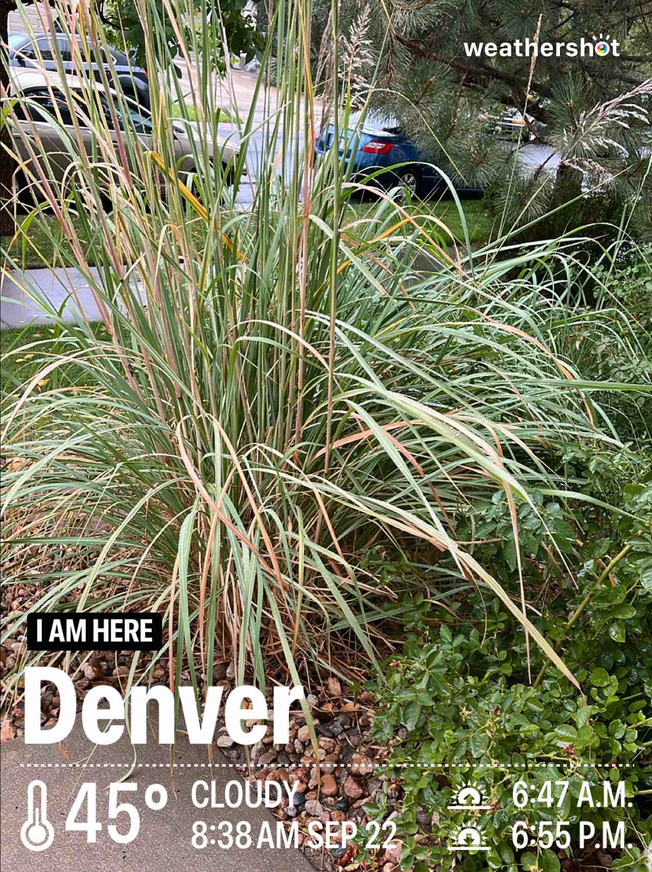 Cloudy weather in Denver, 45°F — September 22, 2024 (community photo)