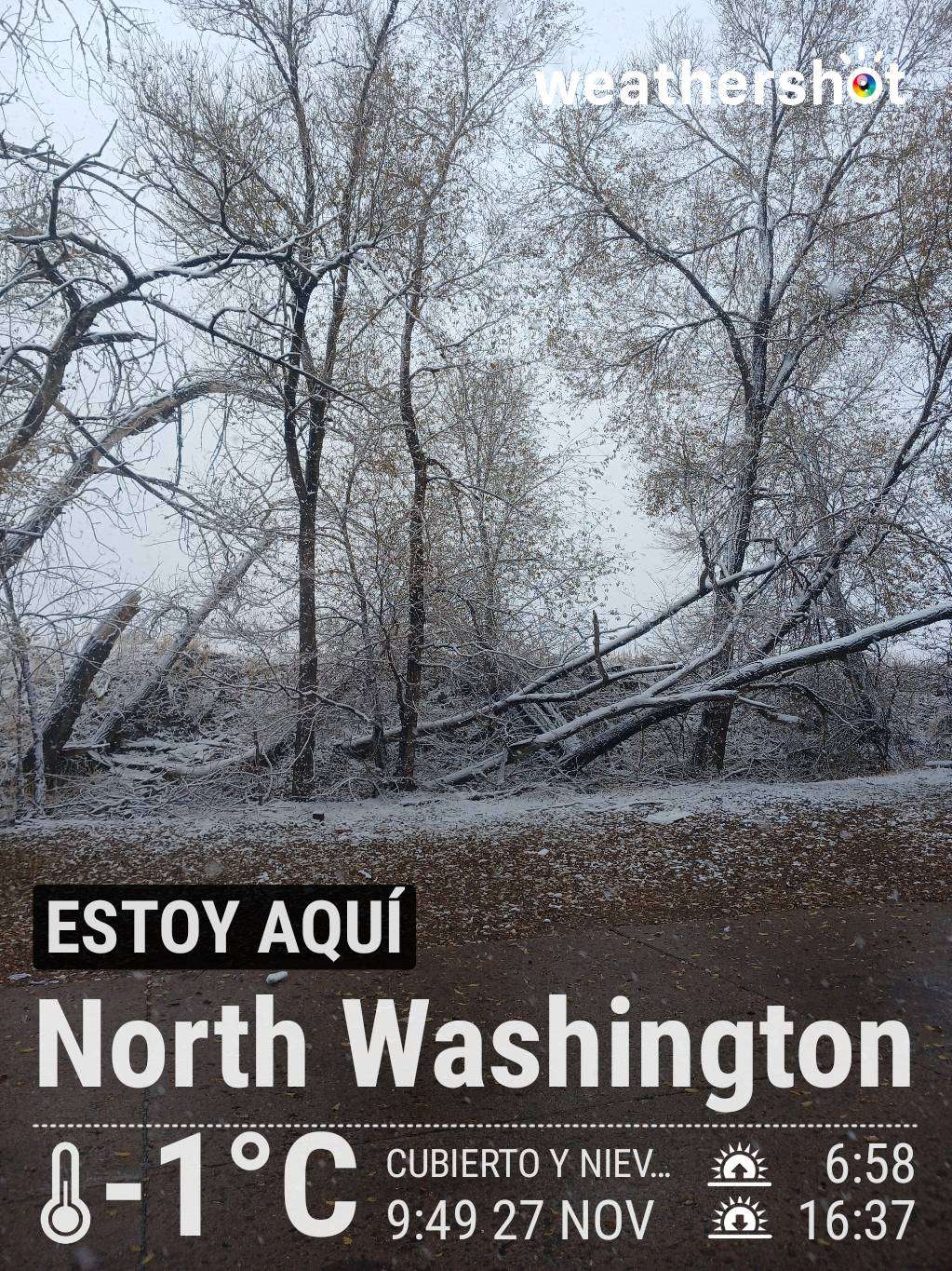 Sleet weather in Denver, 30°F — November 27, 2024 (community photo)