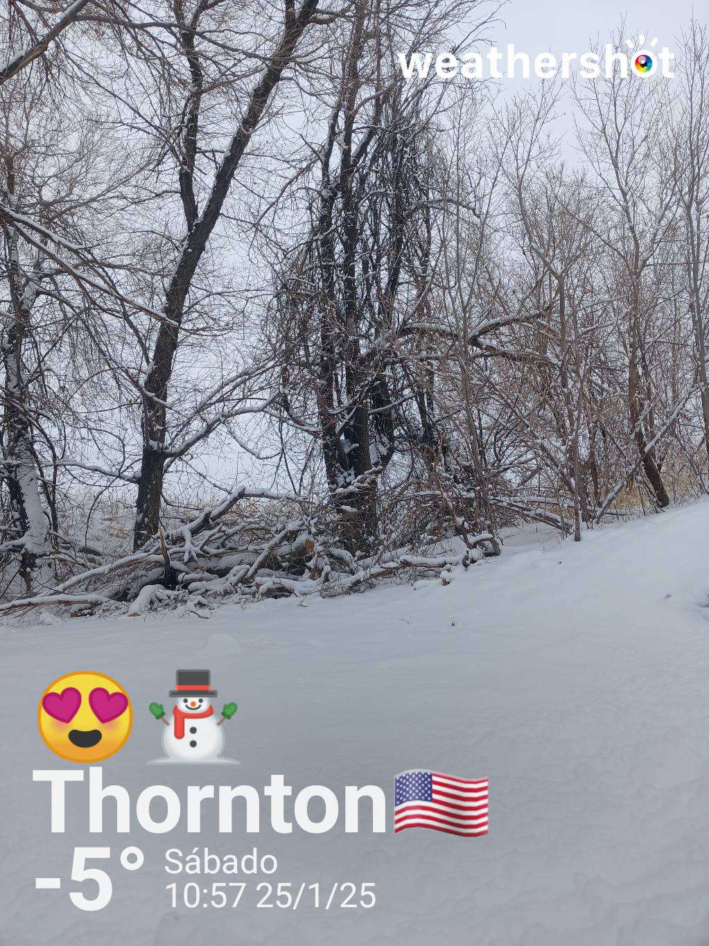 Snowy weather in Denver, 23°F — January 25, 2025 (community photo)