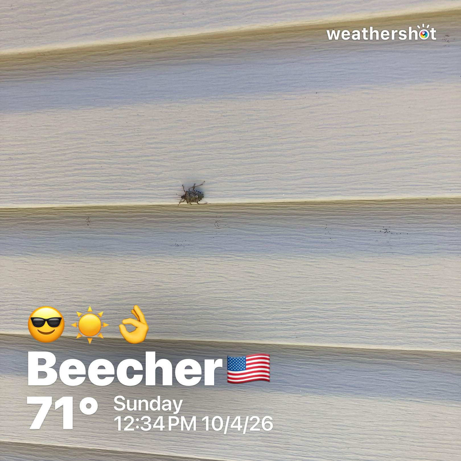 Clear weather in Beecher, 72°F — October 4, 2026 (community photo)