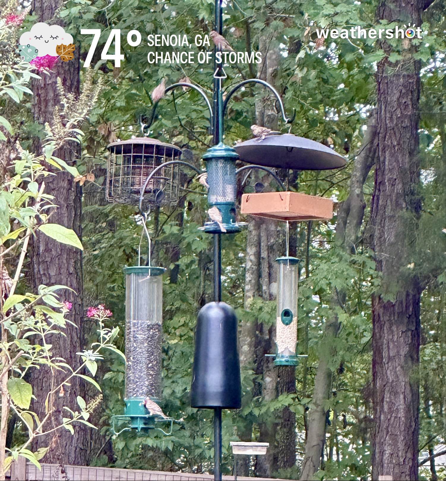 Cloudy weather in Senoia, 73°F — October 4, 2026 (community photo)