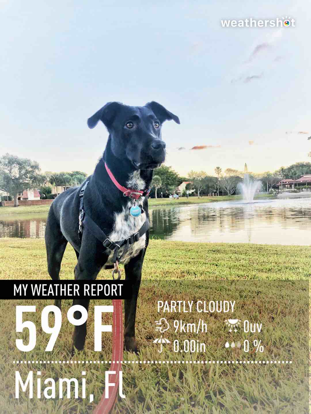 Weather in Miami, 59°F — January 30, 2021 (community photo)