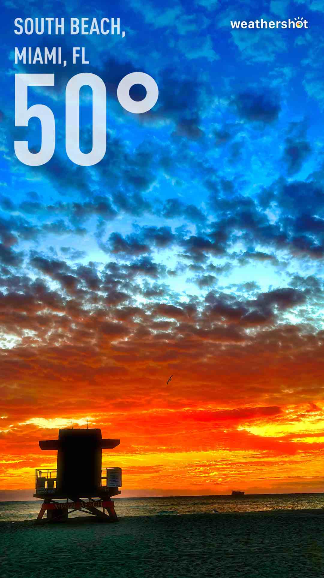 Weather in Miami Beach, 50°F — December 24, 2022 (community photo)