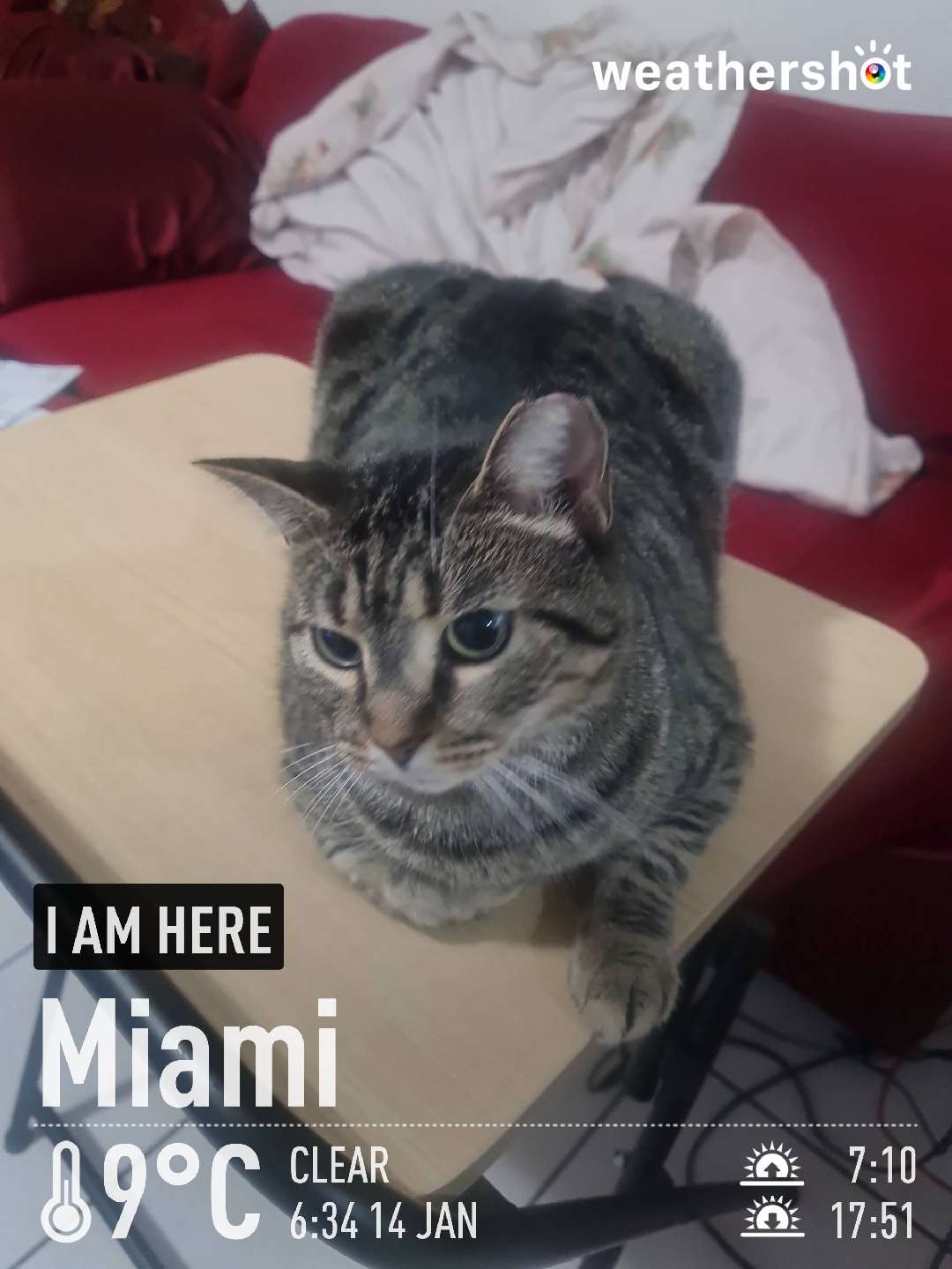 Clear night weather in Miami, 48°F — January 14, 2023 (community photo)