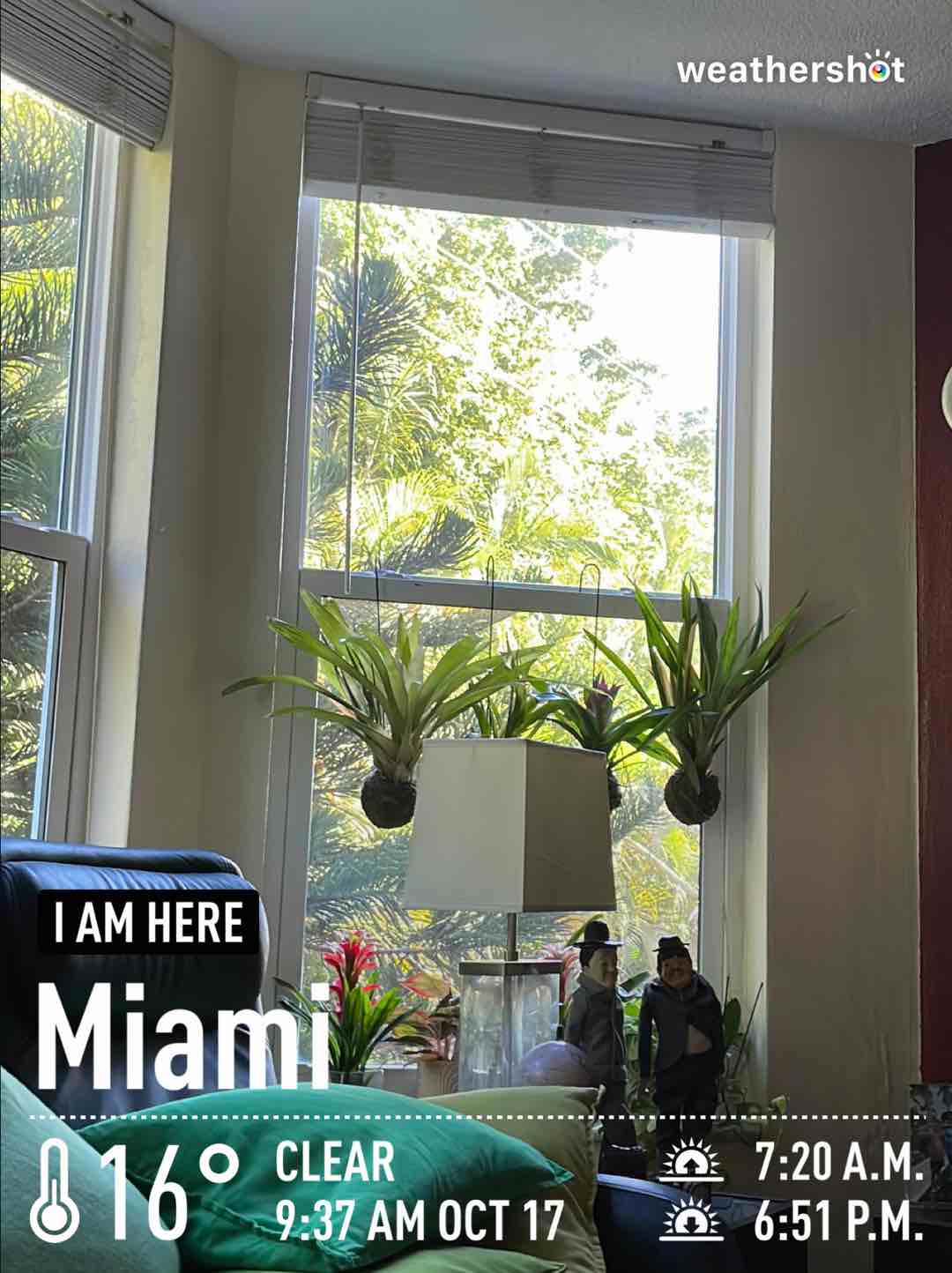 Weather in Miami, 61°F — October 17, 2023 (community photo)