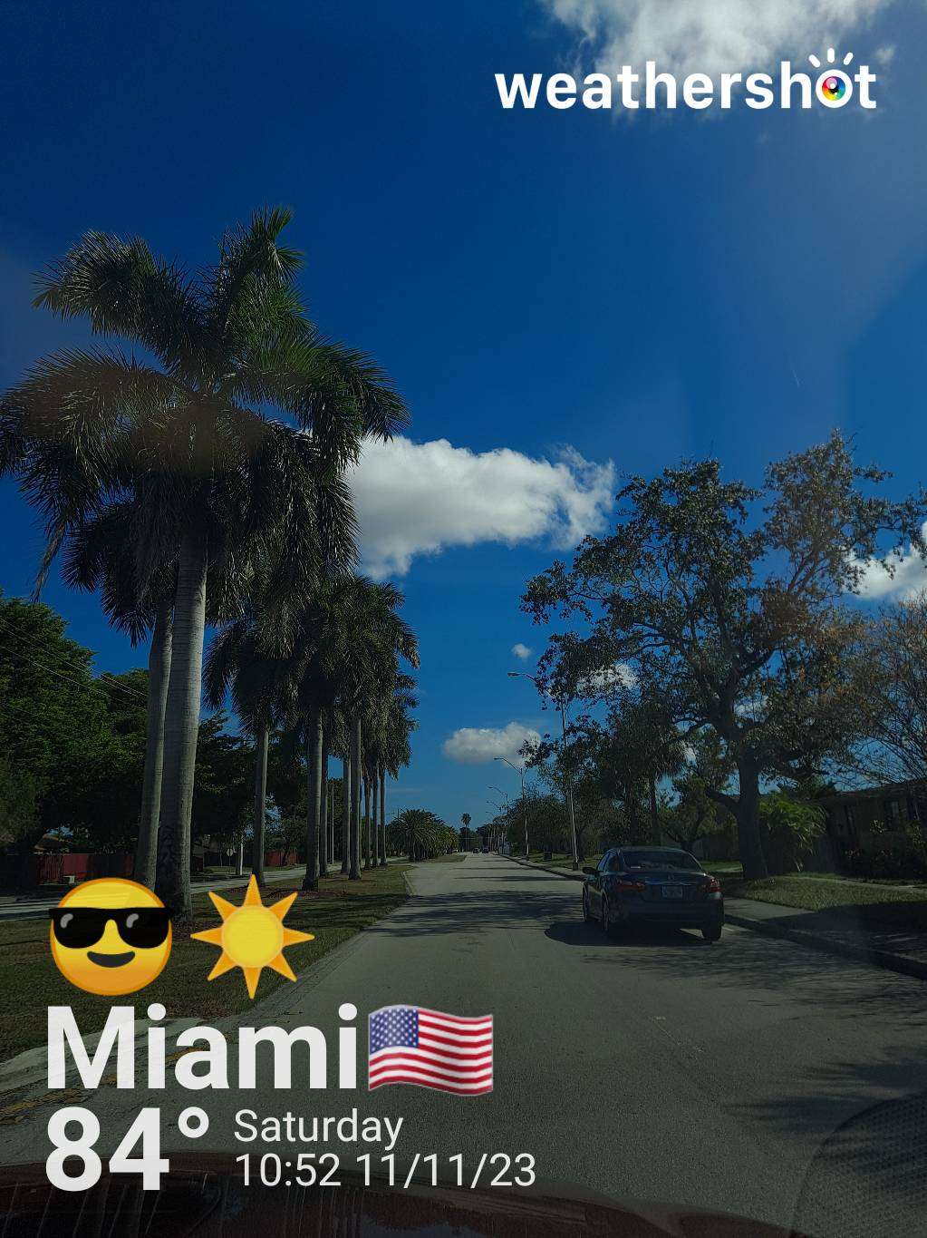 Sunny weather in Miami, 84°F — November 11, 2023 (community photo)