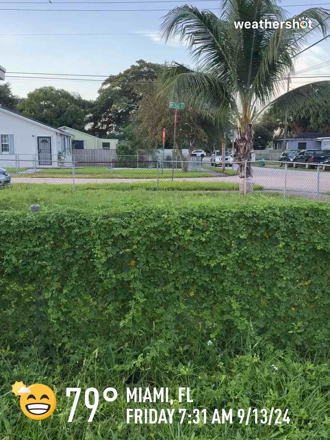 Partly cloudy weather in Miami, 79°F — September 13, 2024 (community photo)