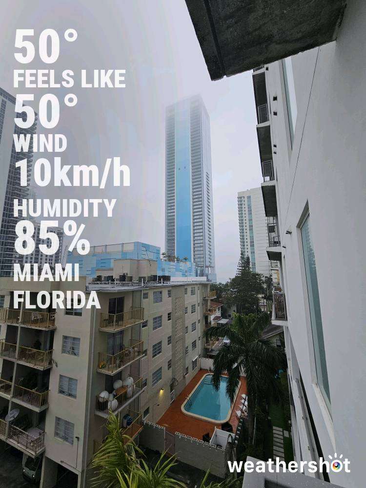 Weather in Miami — January 24, 2025 (community photo)