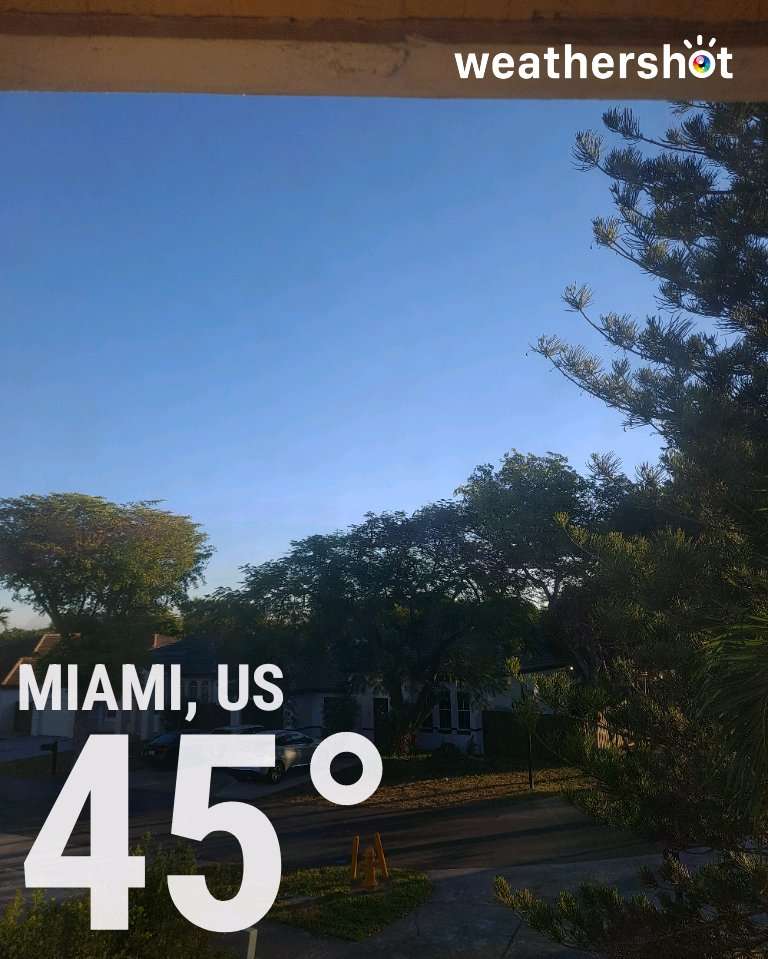 Sunny weather in Miami, 45°F — December 31, 2025 (community photo)