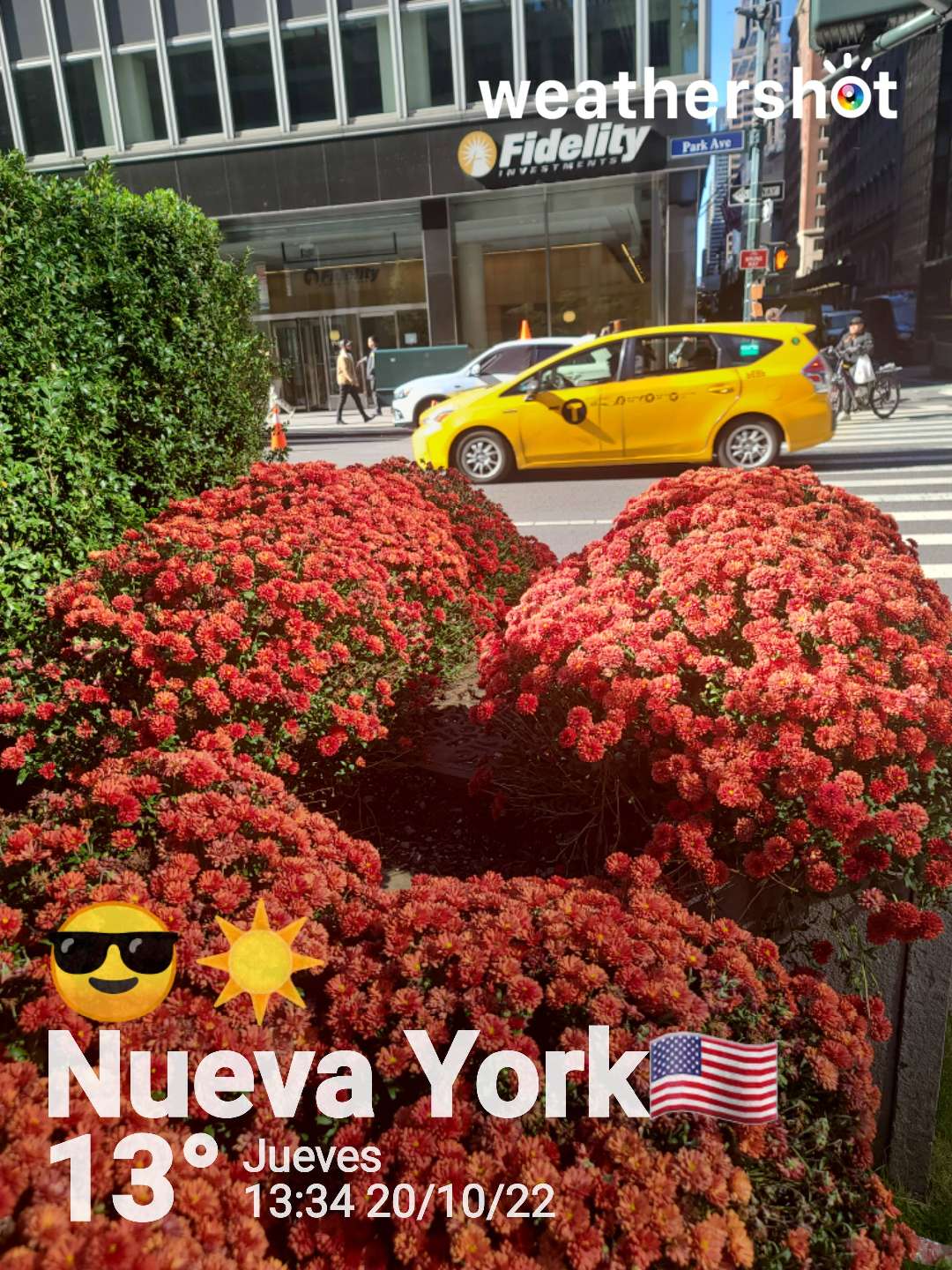 Sunny weather near New York, 55°F — October 20, 2022 (community photo)