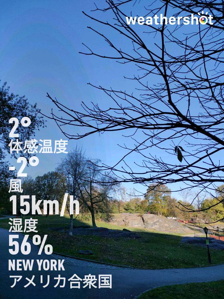 Sunny weather near New York, 36°F — November 19, 2022 (community photo)