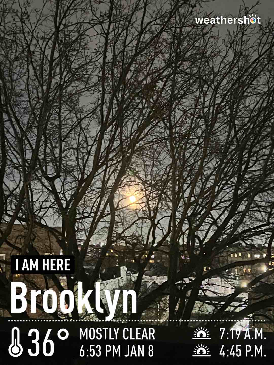 Clear night weather in Kings County, 36°F — January 8, 2023 (community photo)