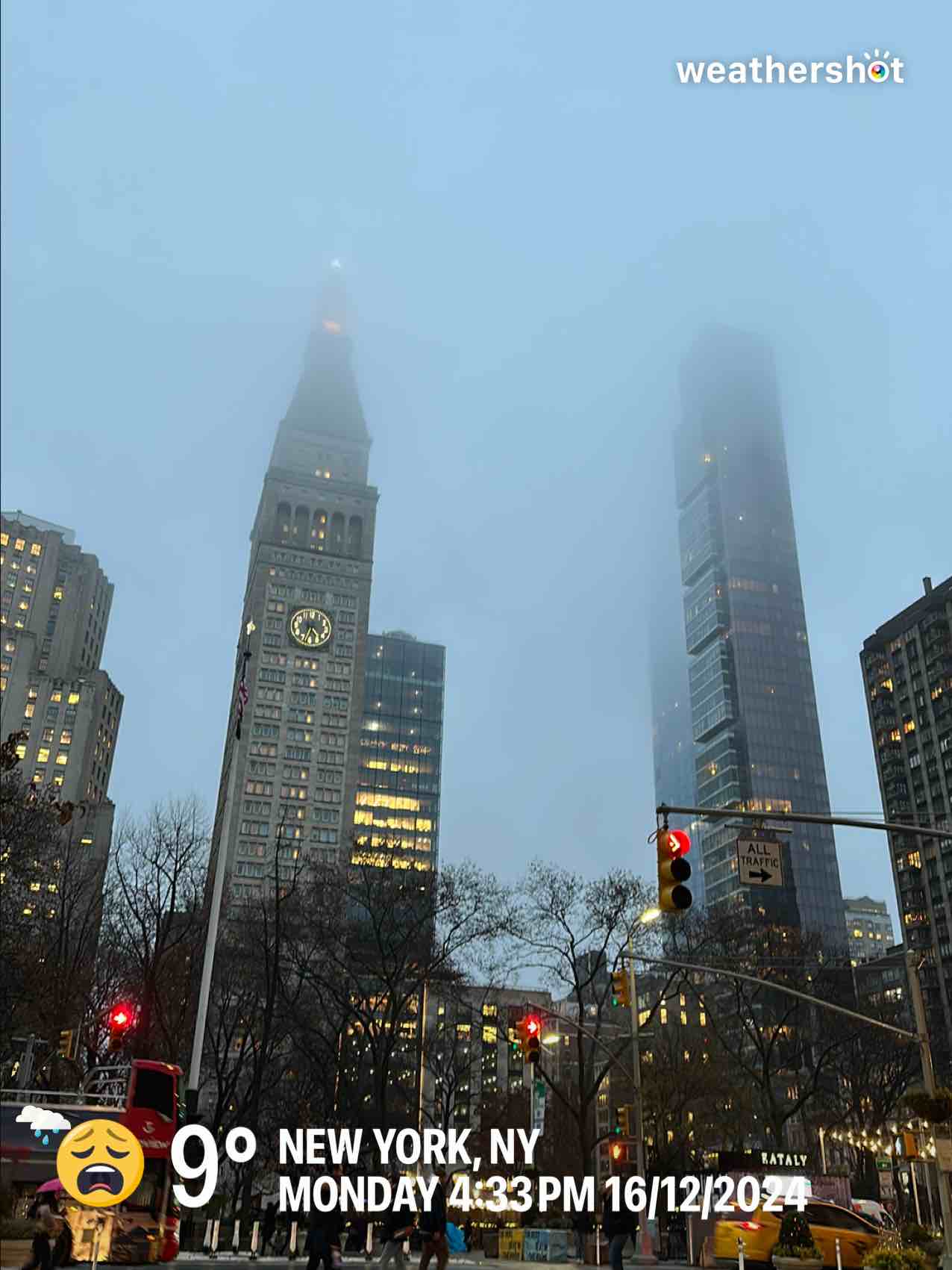 Rainy weather near New York, 48°F — December 16, 2024 (community photo)