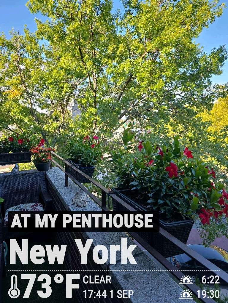 Sunny weather near New York, 73°F — September 1, 2025 (community photo)