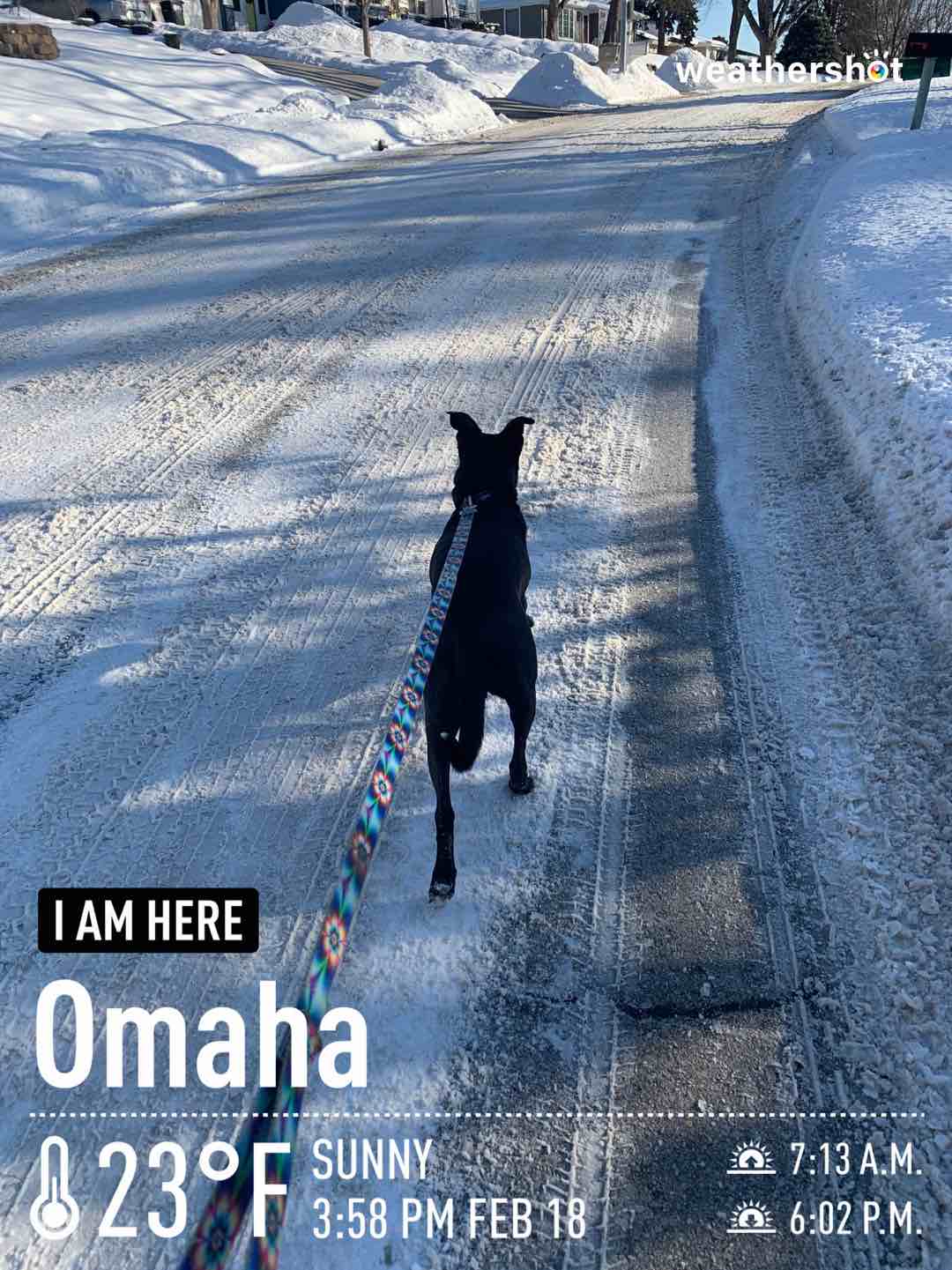 Weather in Omaha, 23°F — February 18, 2021 (community photo)