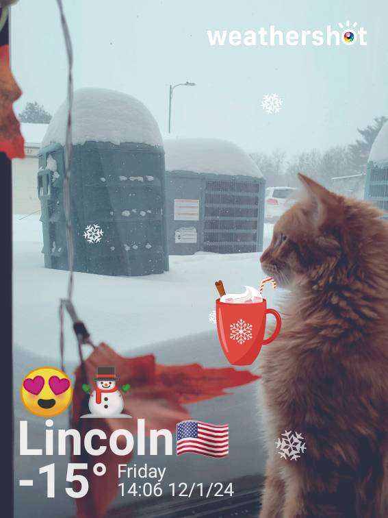 Snowy weather in Lincoln, 5°F — January 12, 2024 (community photo)