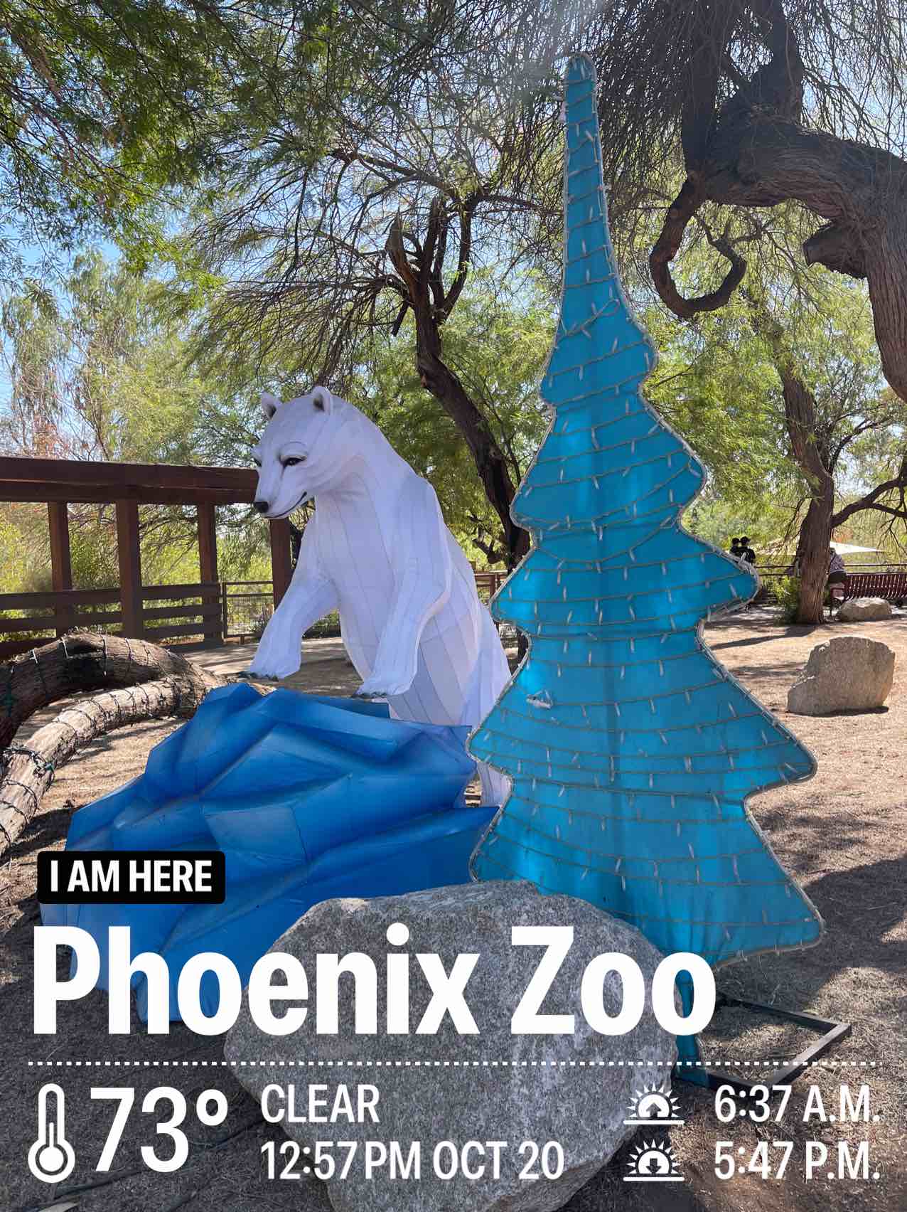 Weather in Phoenix, 73°F — October 20, 2024 (community photo)