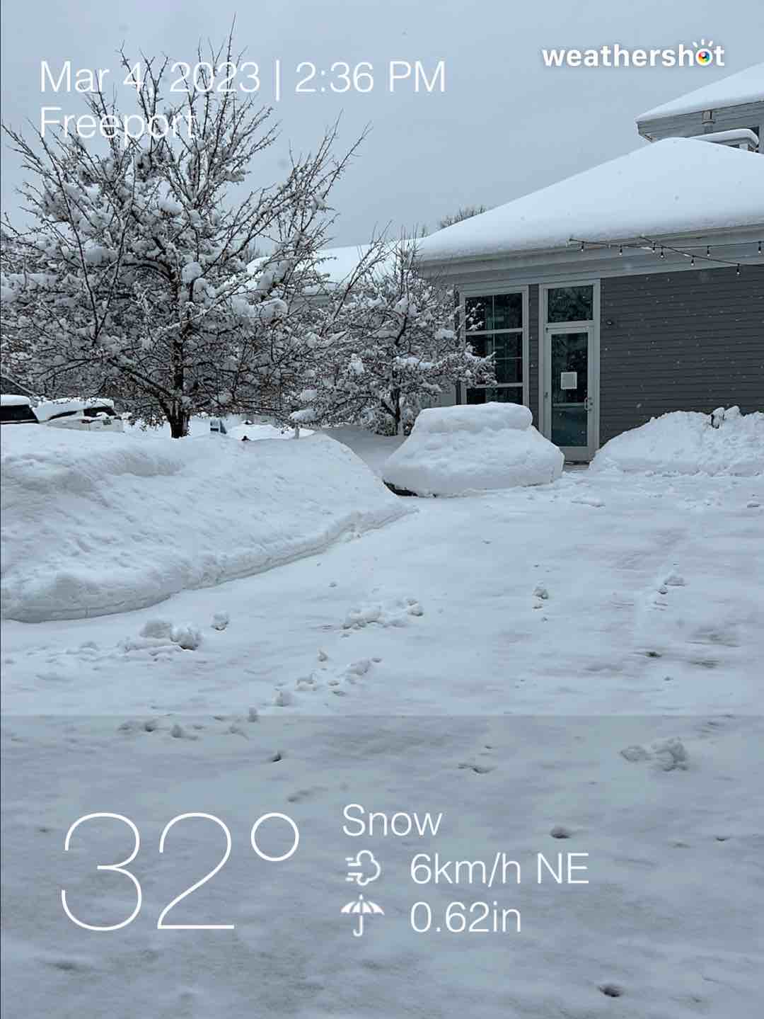 Snowy weather in Freeport, 32°F — March 4, 2023 (community photo)