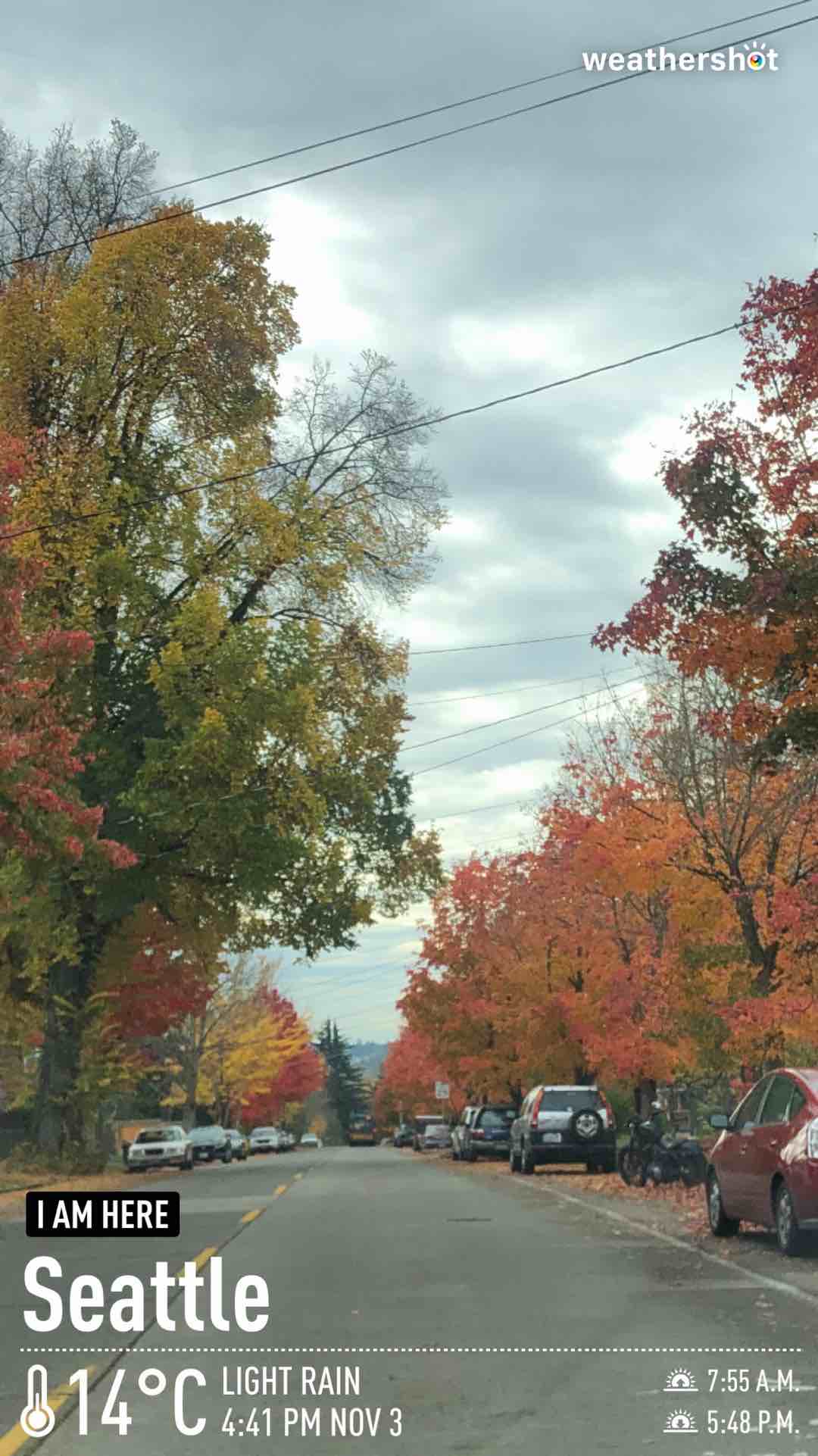 Weather in Seattle, 57°F — November 3, 2021 (community photo)
