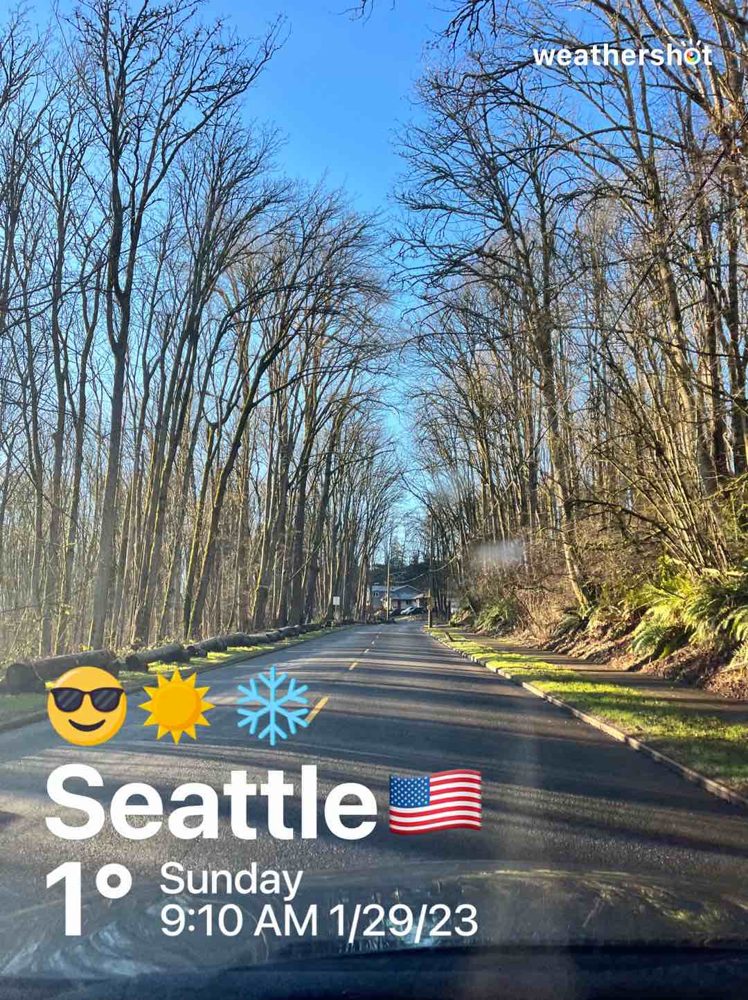 Clear weather in Seattle, 34°F — January 29, 2023 (community photo)