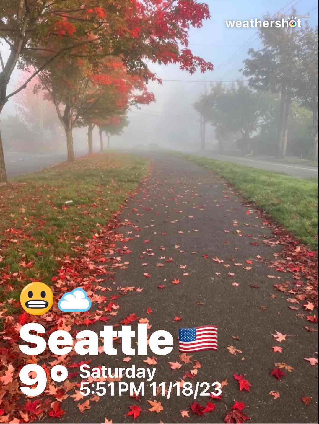 Cloudy weather in Seattle, 48°F — November 18, 2023 (community photo)