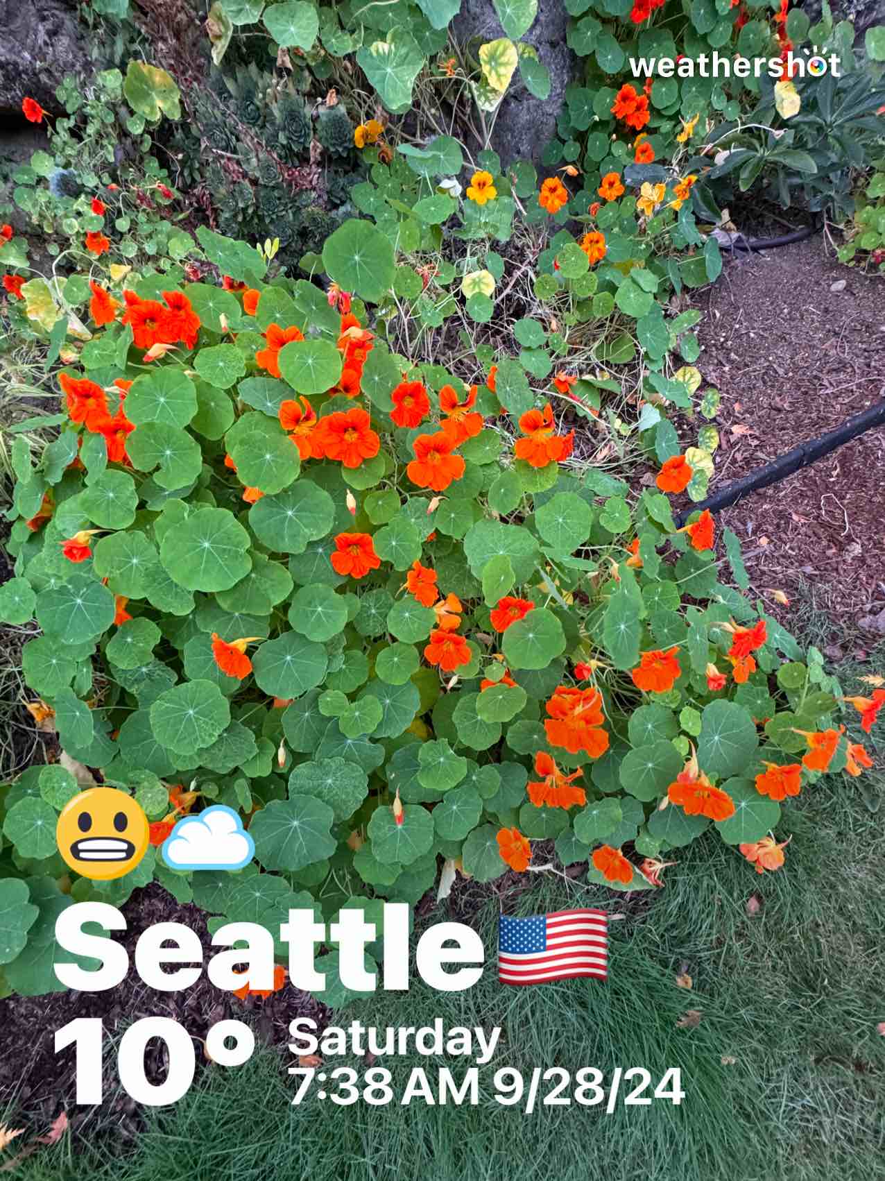Cloudy weather in Seattle, 50°F — September 28, 2024 (community photo)
