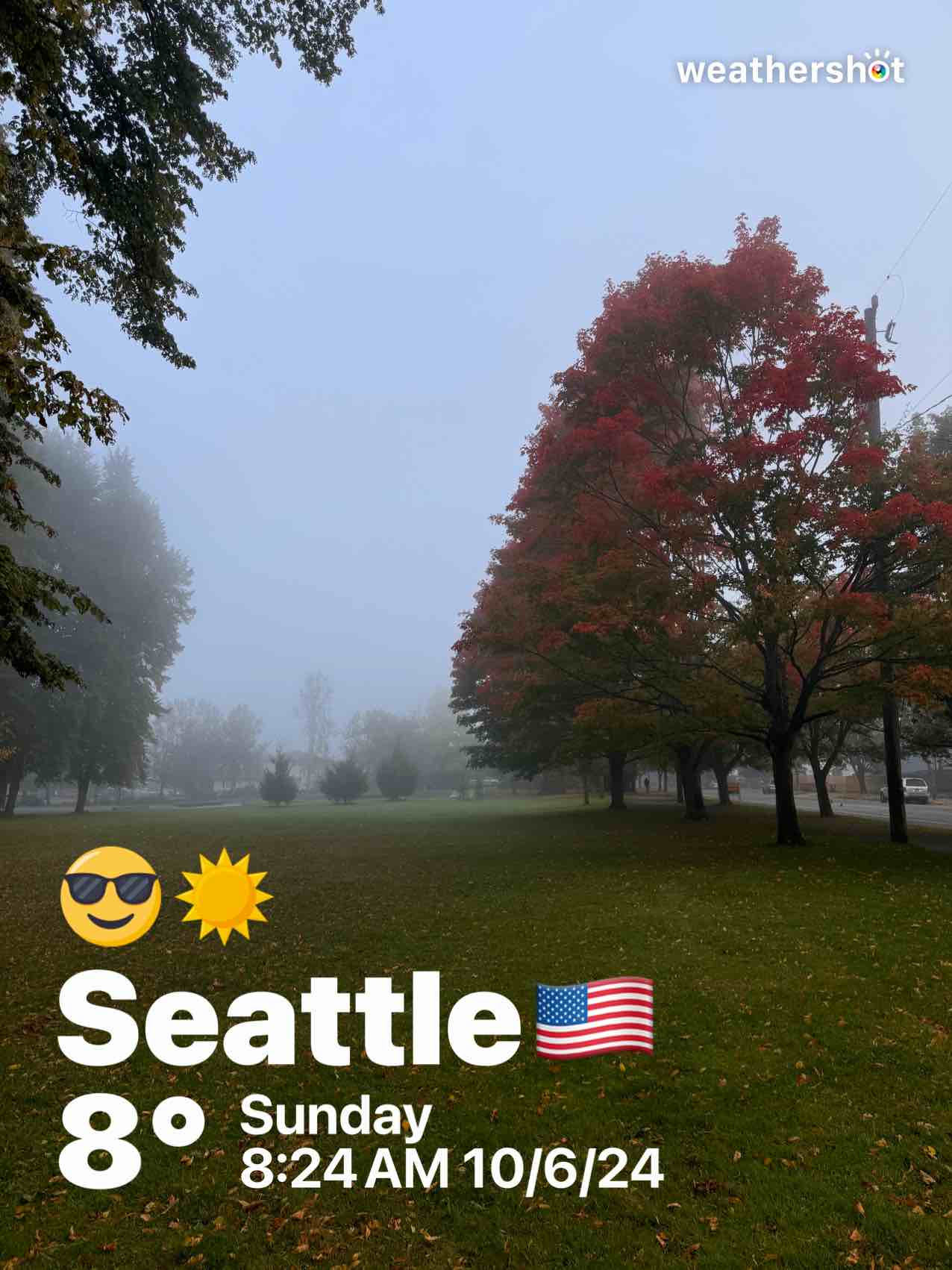 Clear weather in Seattle, 46°F — October 6, 2024 (community photo)