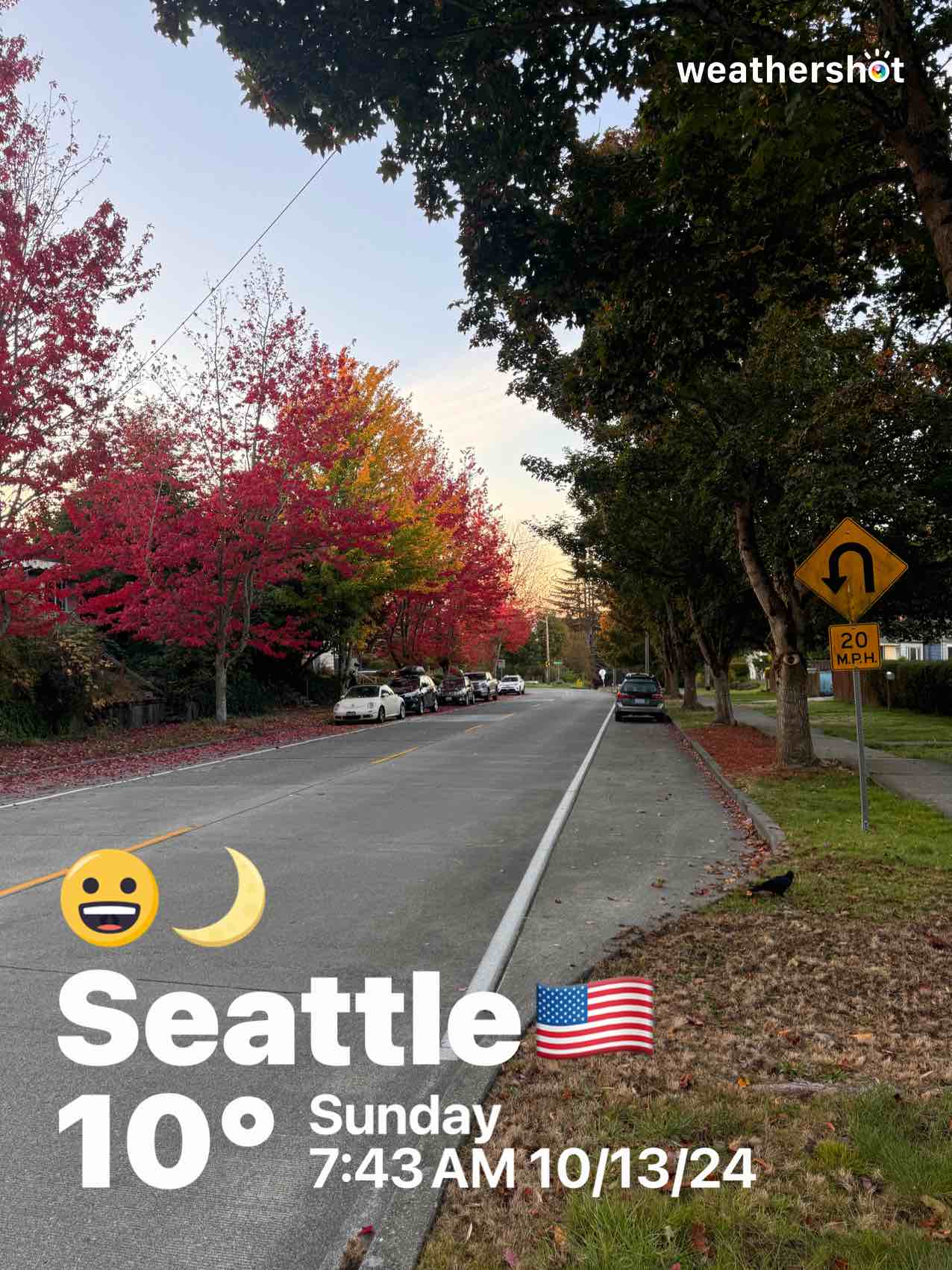 Clear night weather in Seattle, 50°F — October 13, 2024 (community photo)