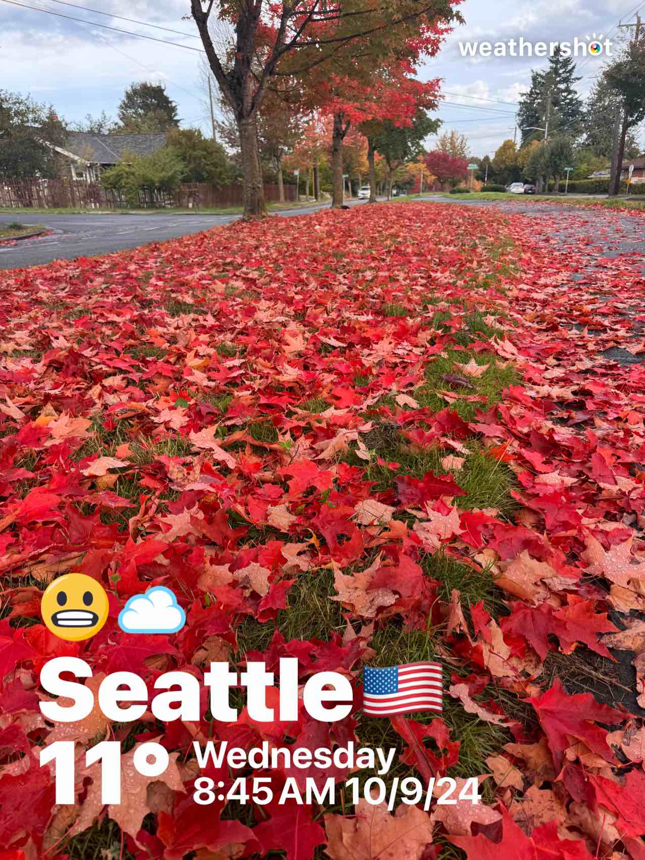 Cloudy weather in Seattle, 52°F — October 9, 2024 (community photo)