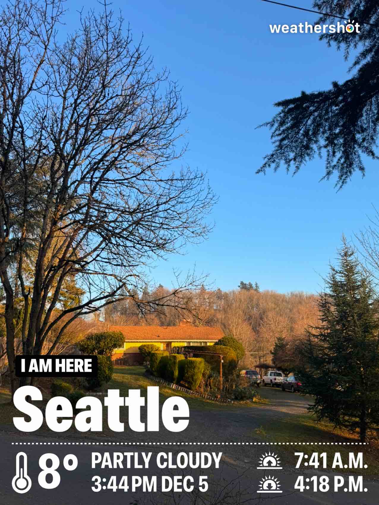 Weather in Seattle, 46°F — December 5, 2024 (community photo)