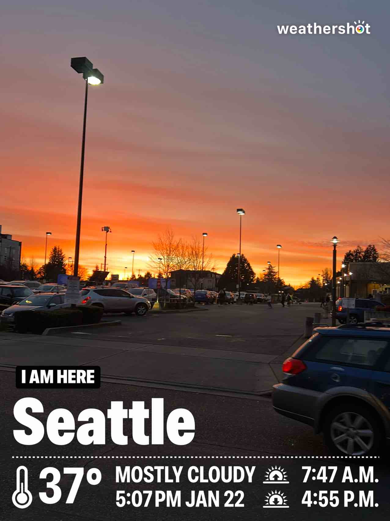 Weather in Seattle, 37°F — January 22, 2025 (community photo)