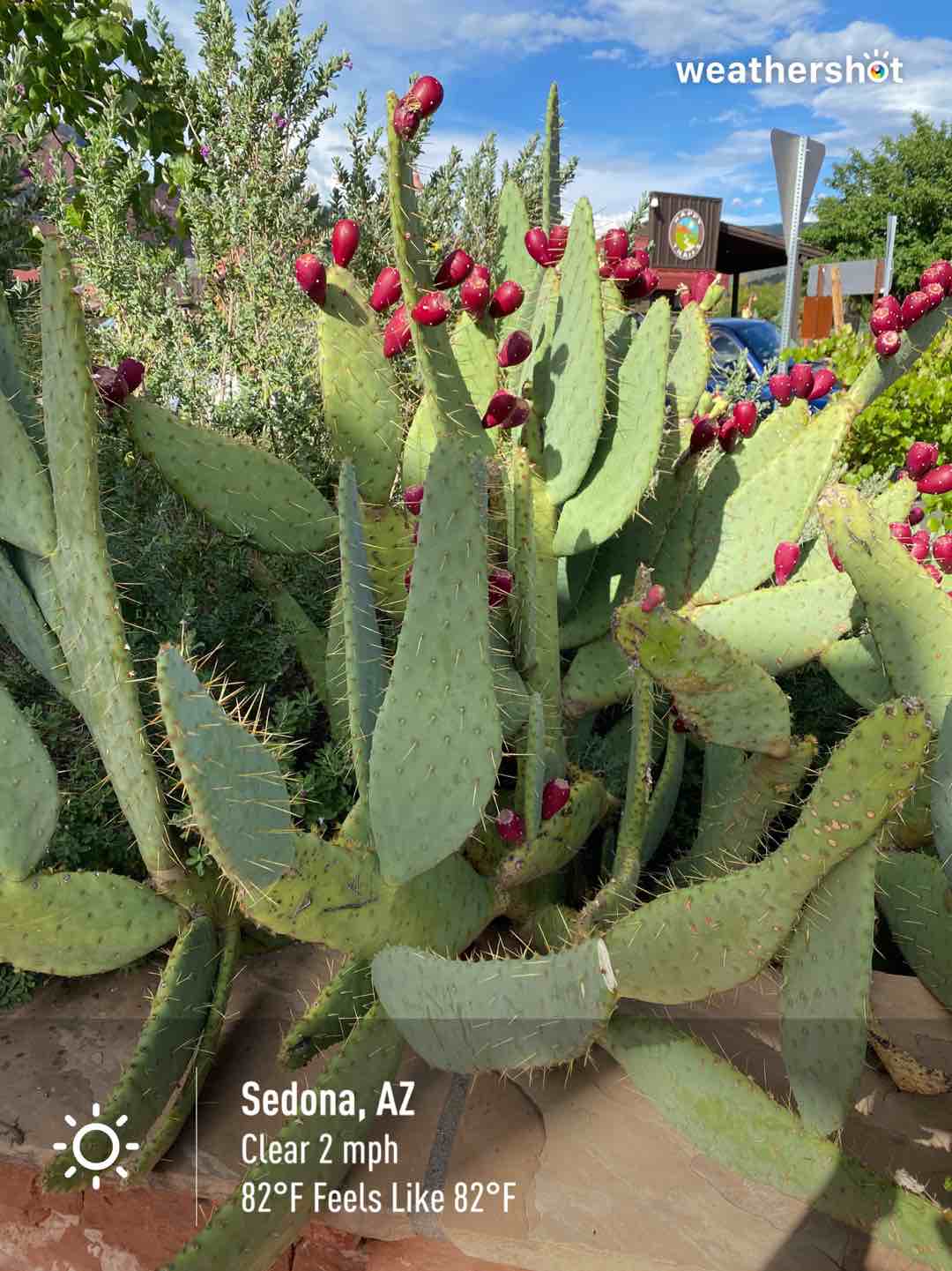 Clear weather in Sedona, 82°F — September 14, 2023 (community photo)