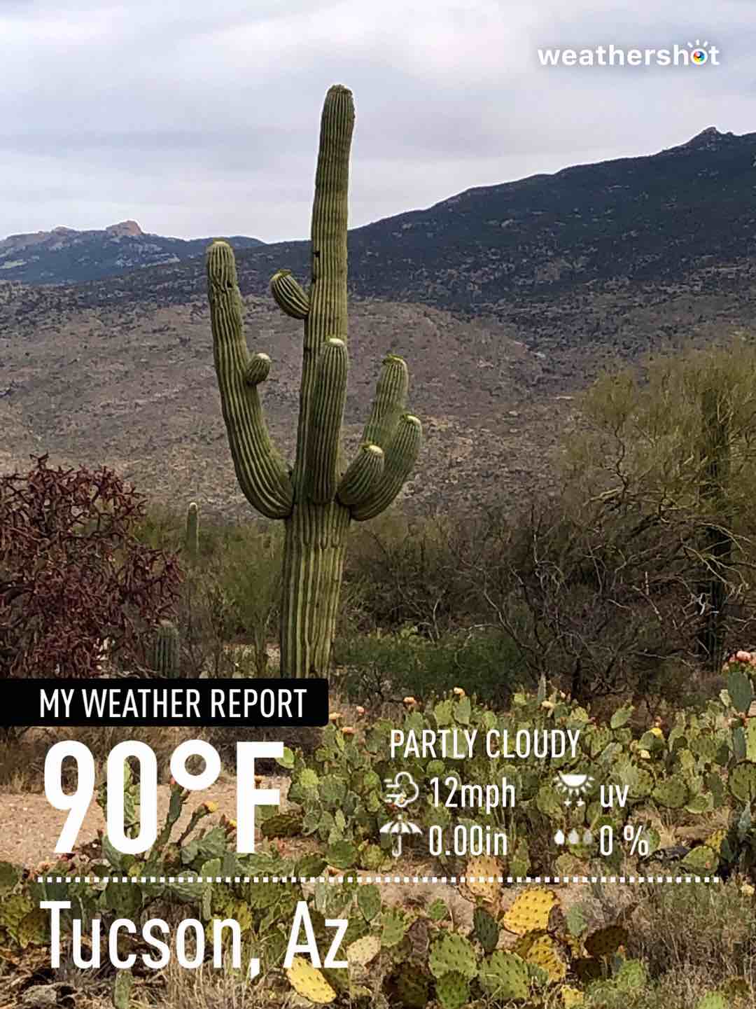 Partly cloudy weather in Tucson, 90°F — May 4, 2021 (community photo)