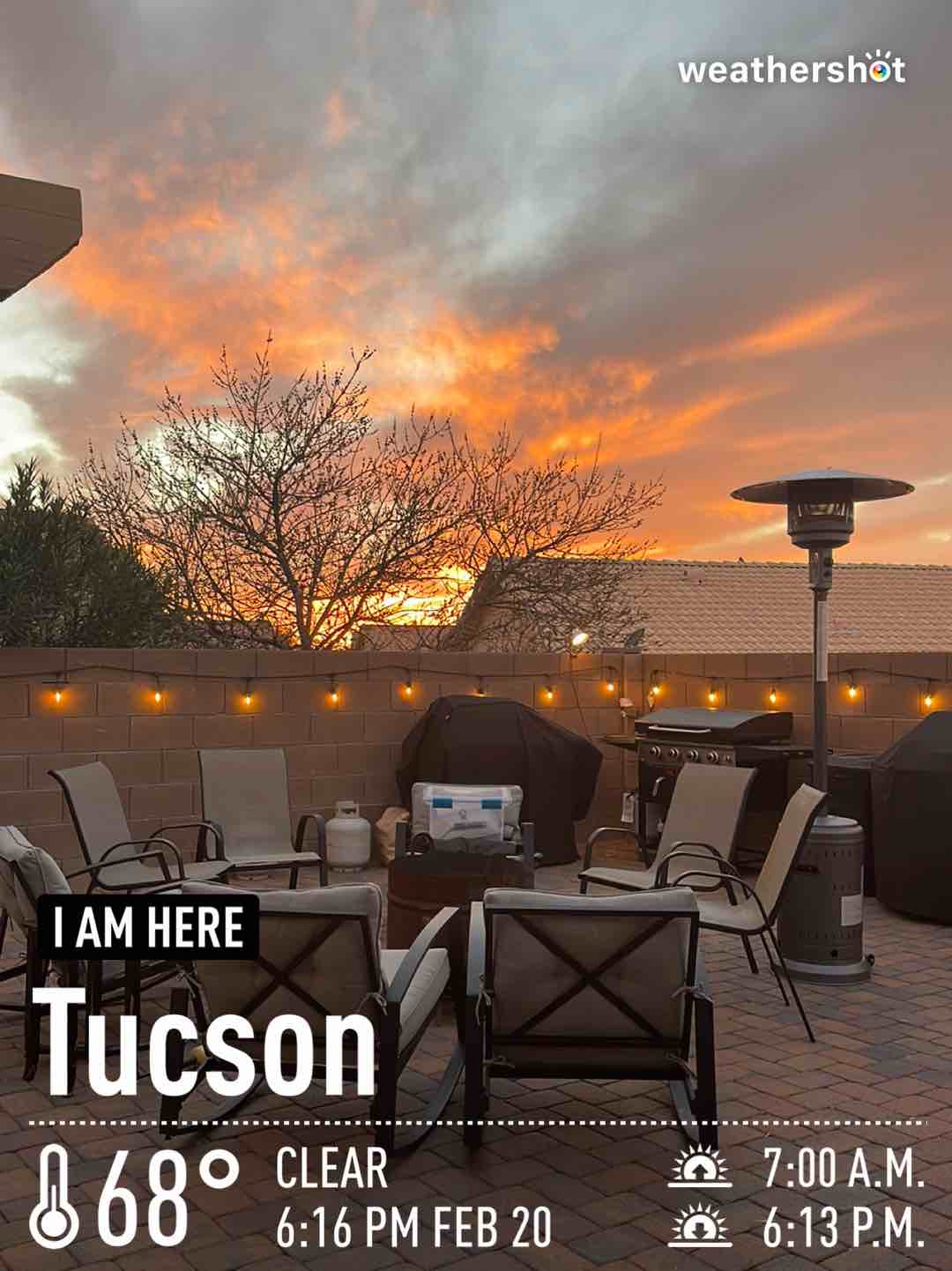 Weather in Tucson, 68°F — February 20, 2022 (community photo)