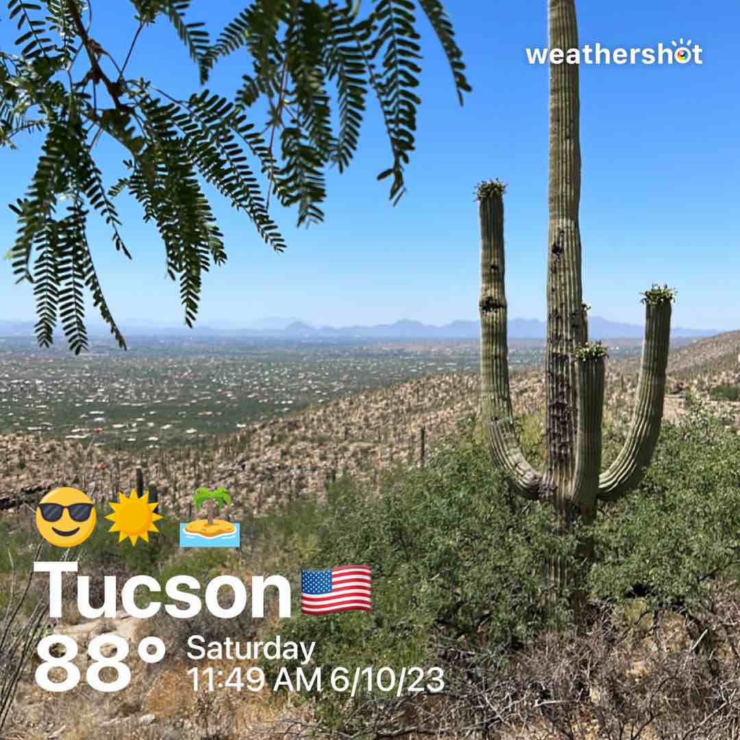 Clear weather in Tucson, 88°F — June 10, 2023 (community photo)