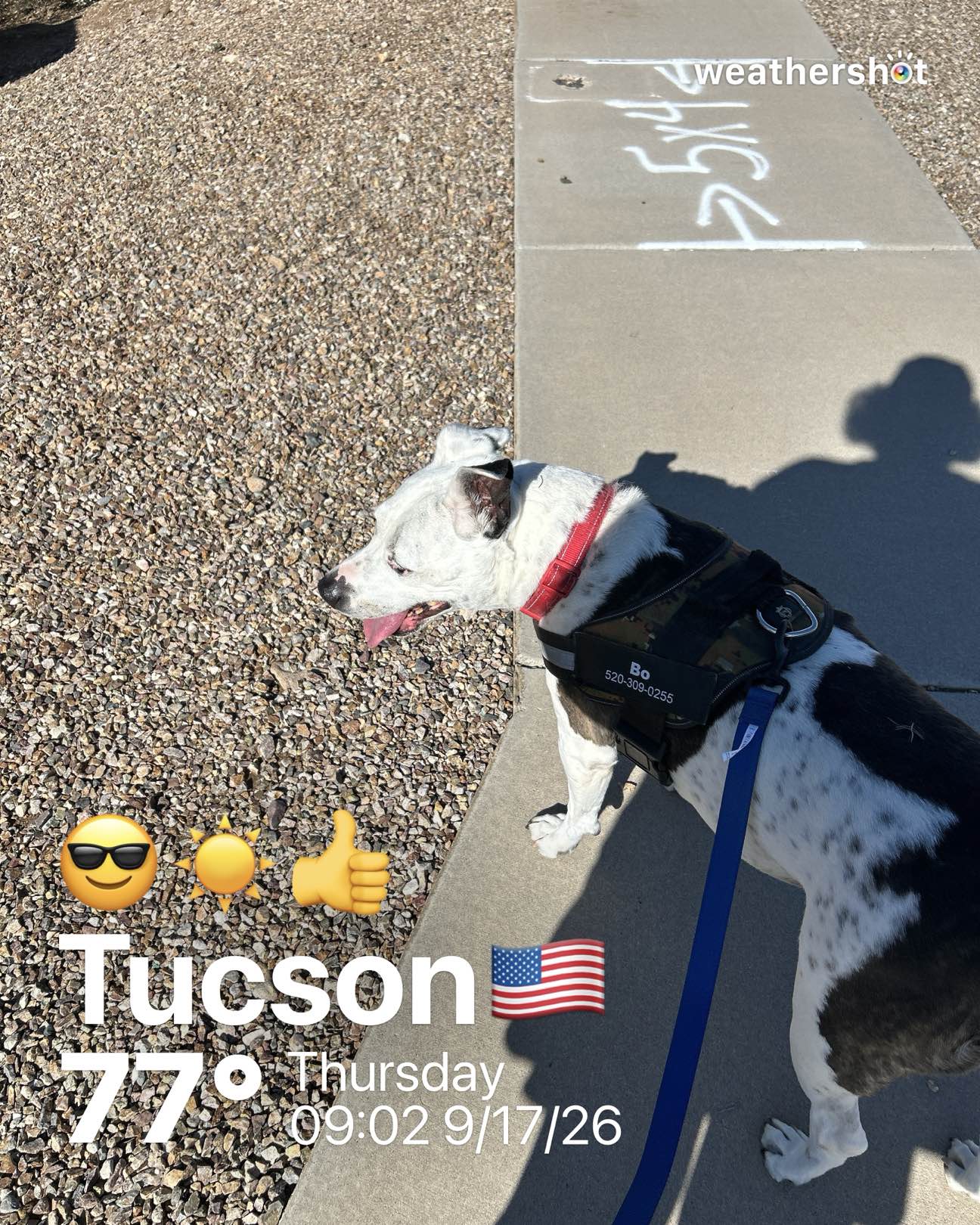 Clear weather in Tucson, 77°F — September 17, 2026 (community photo)